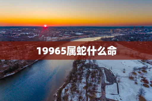 19965属蛇什么命