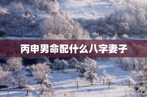 丙申男命配什么八字妻子