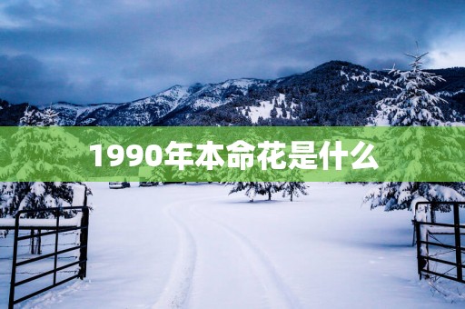 1990年本命花是什么