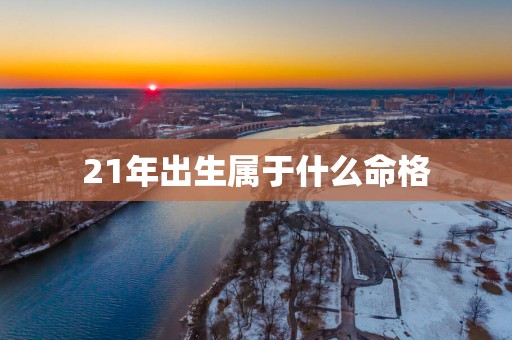 21年出生属于什么命格