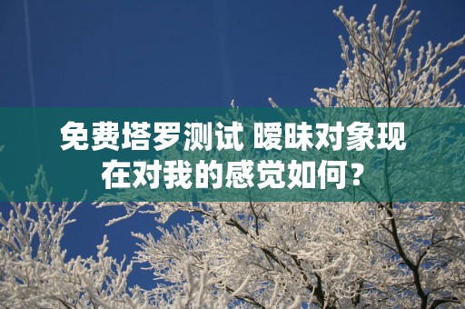 免费塔罗测试 暧昧对象现在对我的感觉如何？