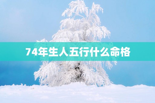 74年生人五行什么命格