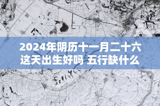 2025年阴历十一月二十六这天出生好吗 五行缺什么