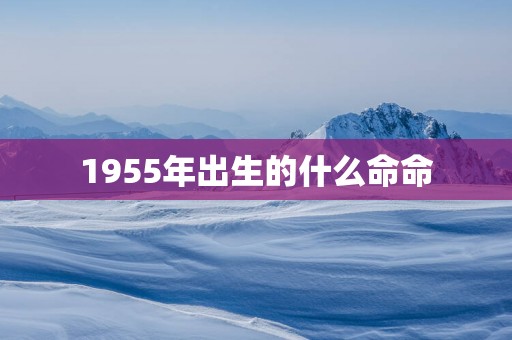 1955年出生的什么命命