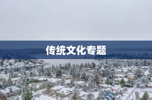 传统文化专题