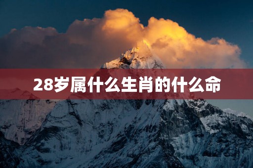 28岁属什么生肖的什么命