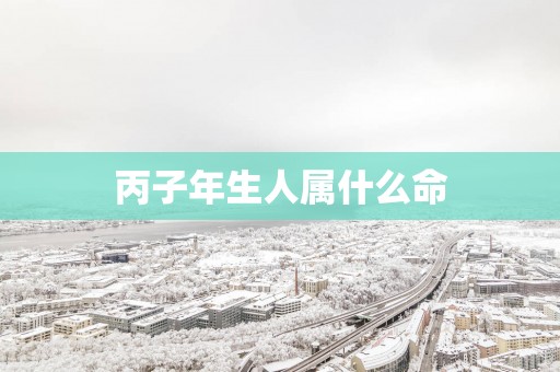 丙子年生人属什么命