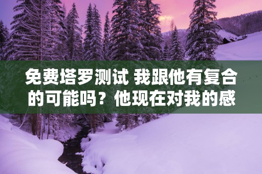 免费塔罗测试 我跟他有复合的可能吗？他现在对我的感觉是怎样的？