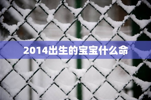 2014出生的宝宝什么命