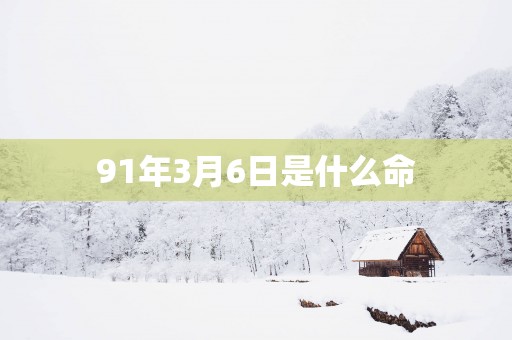 91年3月6日是什么命