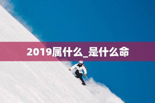 2019属什么_是什么命