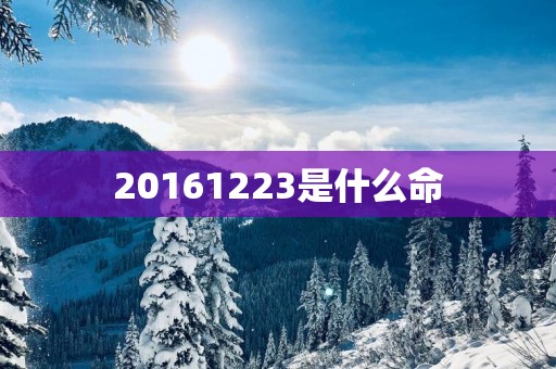 20161223是什么命