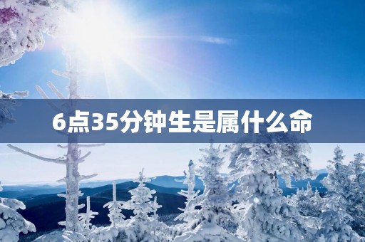 6点35分钟生是属什么命