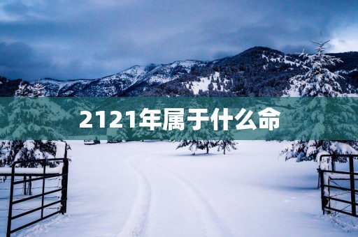 2121年属于什么命