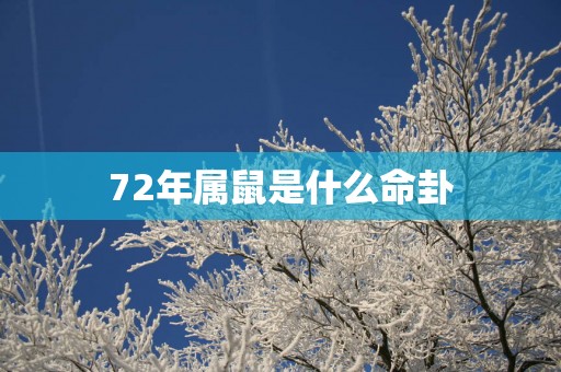 72年属鼠是什么命卦