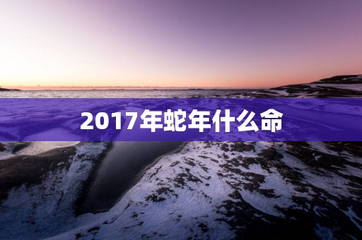 2017年蛇年什么命