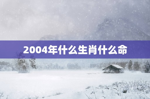 2004年什么生肖什么命