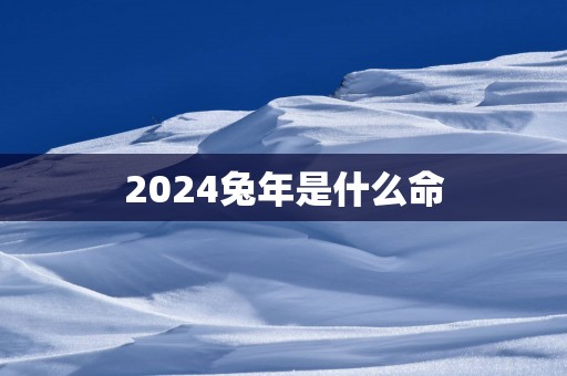 2025蛇年是什么命