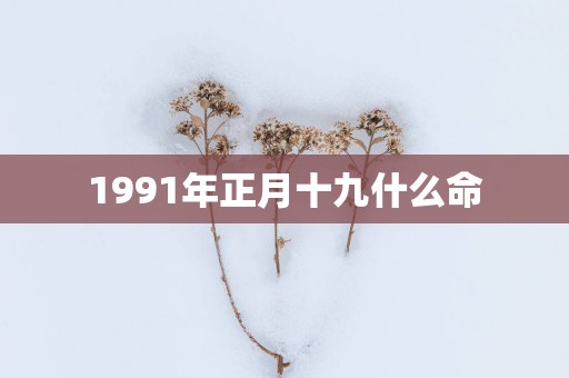 1991年正月十九什么命