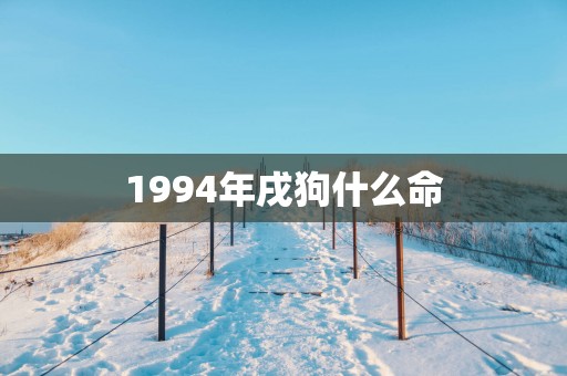 1994年戌狗什么命