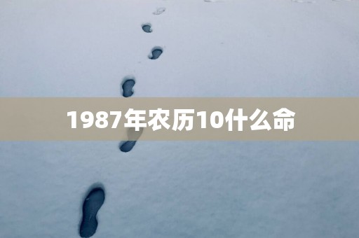 1987年农历10什么命