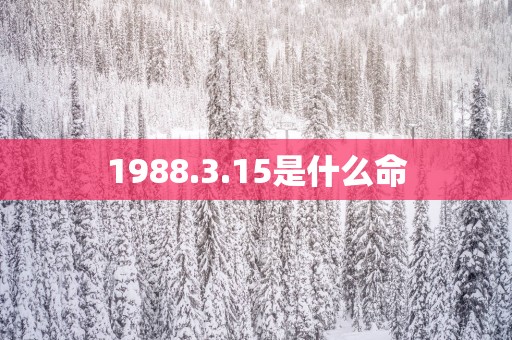 1988.3.15是什么命