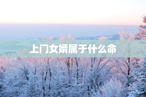 上门女婿属于什么命