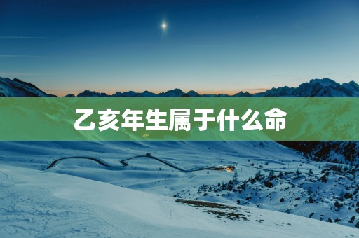 乙亥年生属于什么命