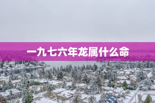 一九七六年龙属什么命