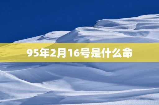 95年2月16号是什么命