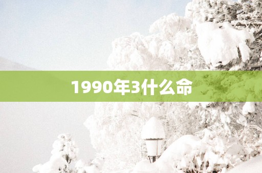 1990年3什么命