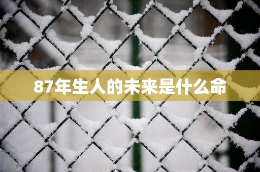 87年生人的未来是什么命