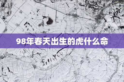 98年春天出生的虎什么命