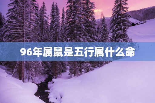 96年属鼠是五行属什么命