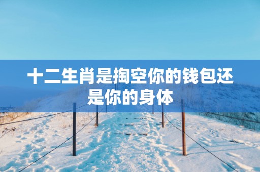 十二生肖是掏空你的钱包还是你的身体