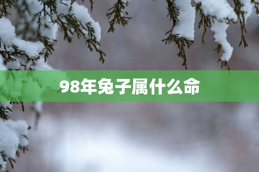98年兔子属什么命