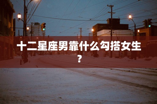 十二星座男靠什么勾搭女生？