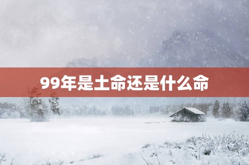 99年是土命还是什么命
