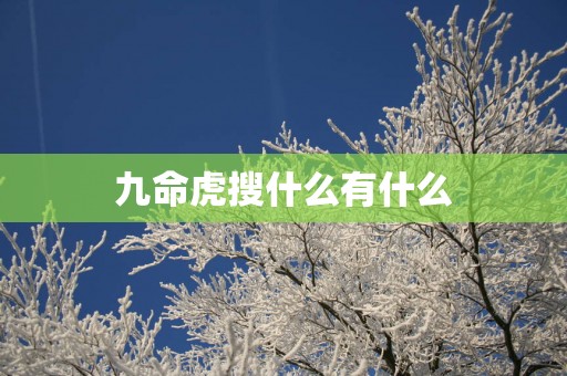 九命虎搜什么有什么