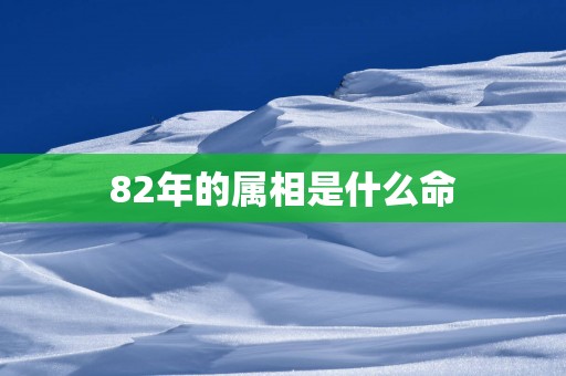 82年的属相是什么命
