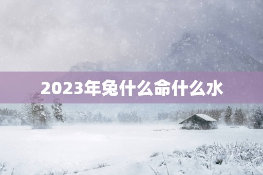 2025年兔什么命什么水 2025年兔什么命什么水