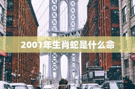 2001年生肖蛇是什么命