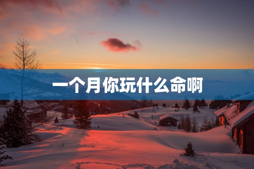 一个月你玩什么命啊