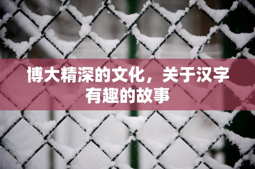 博大精深的文化，关于汉字有趣的故事