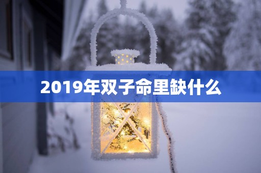 2019年双子命里缺什么
