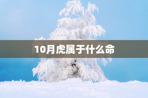 10月虎属于什么命