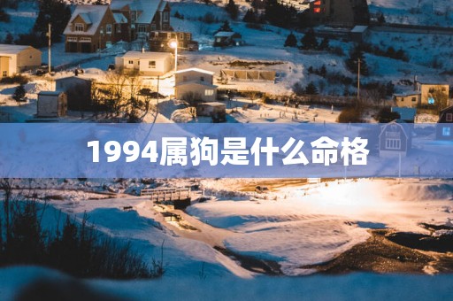 1994属狗是什么命格