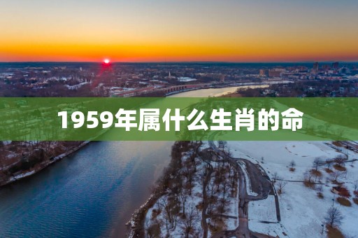 1959年属什么生肖的命