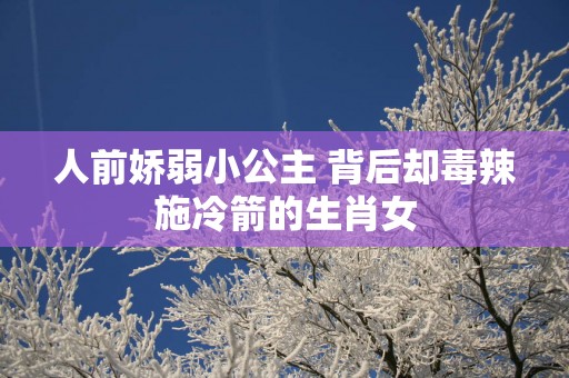 人前娇弱小公主 背后却毒辣施冷箭的生肖女
