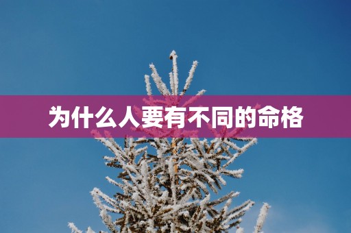 为什么人要有不同的命格